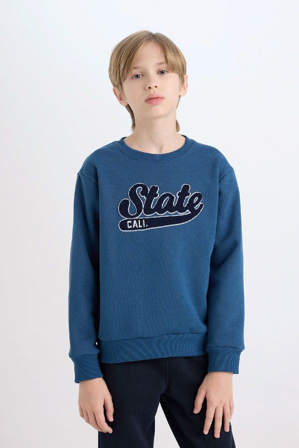 DEFACTO DEFACTO Boy Navy Blue Regular Fit Crew Neck Embroidered Thick Sweatshirt