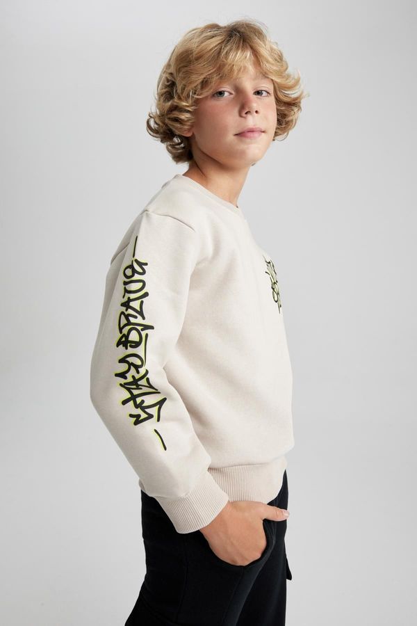 DEFACTO DEFACTO Boy New Regular Fit Crew Neck Sweatshirt