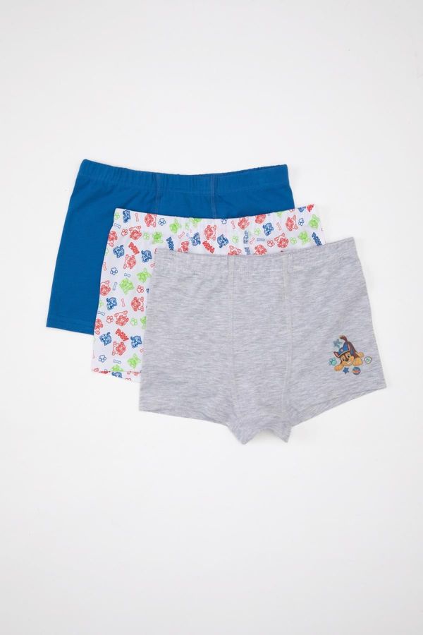 DEFACTO DEFACTO Boy Paw Patrol 3-Piece Boxer