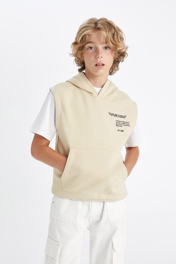 DEFACTO DEFACTO Boy Printed Hooded Sweater