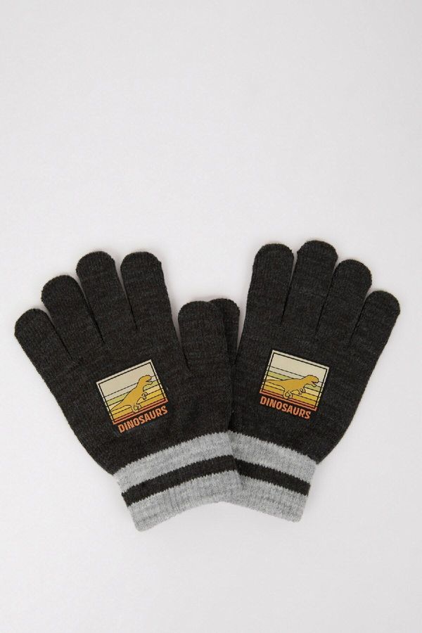 DEFACTO DEFACTO Boy Printed Knitted Gloves