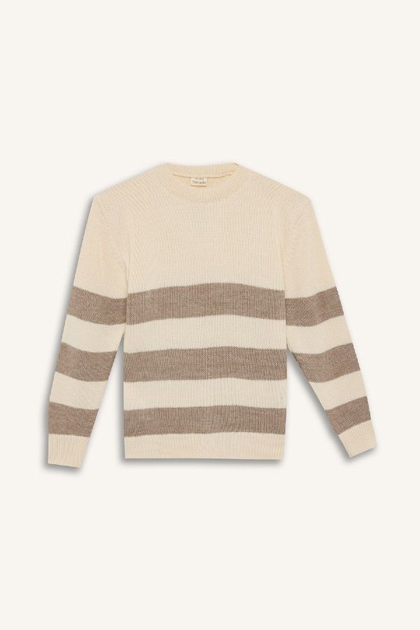 DEFACTO DEFACTO Boy Regular Fit Crew Neck Striped Knitwear Sweater