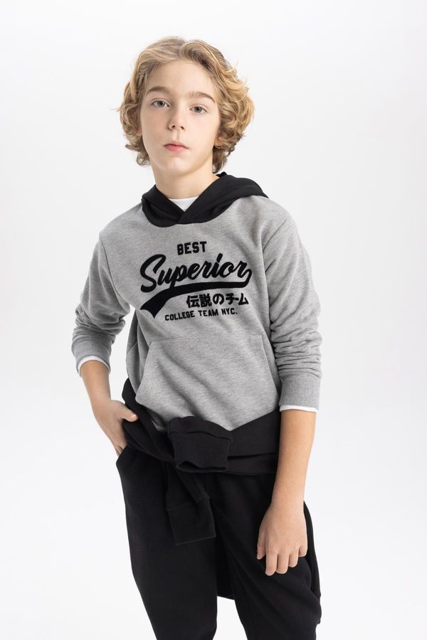 DEFACTO DEFACTO Boy&#39;s Printed Hooded Thick Sweatshirt