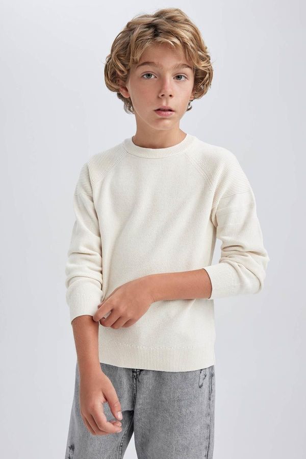 DEFACTO DEFACTO Boy's Crew Neck Cotton Knitted Sweater