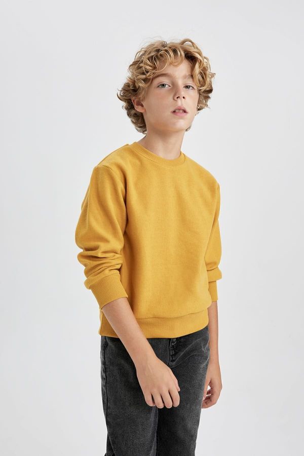 DEFACTO DEFACTO Boy's Crew Neck Thessaloniki Fabric Sweatshirt B4400a823wn