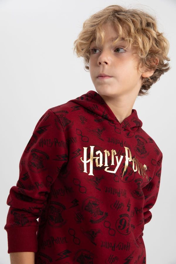 DEFACTO DEFACTO Boys Harry Potter Regular Fit Hooded Sweatshirt