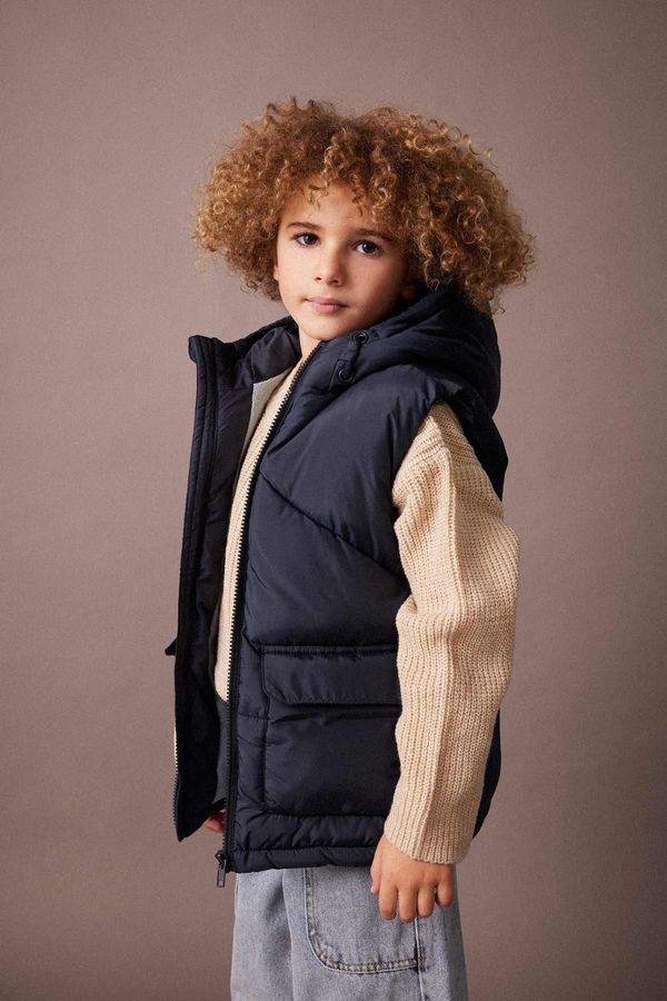 DEFACTO DEFACTO Boy's Hooded Fleece Lined Puffer Vest