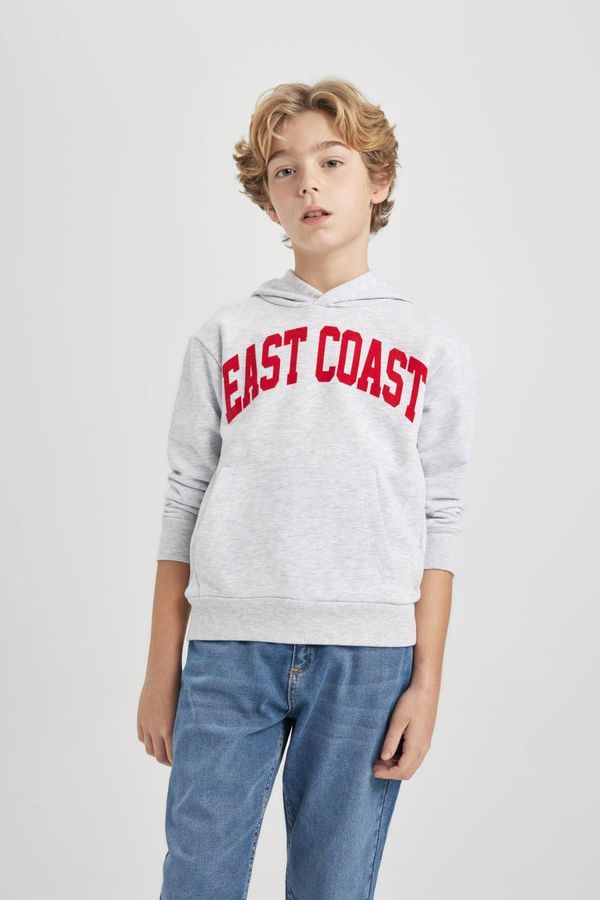 DEFACTO DEFACTO Boy's Hooded Printed Thick Sweatshirt