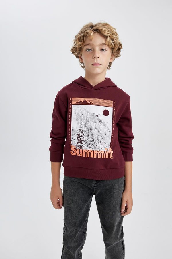 DEFACTO DEFACTO Boy's Hooded Printed Thick Sweatshirt