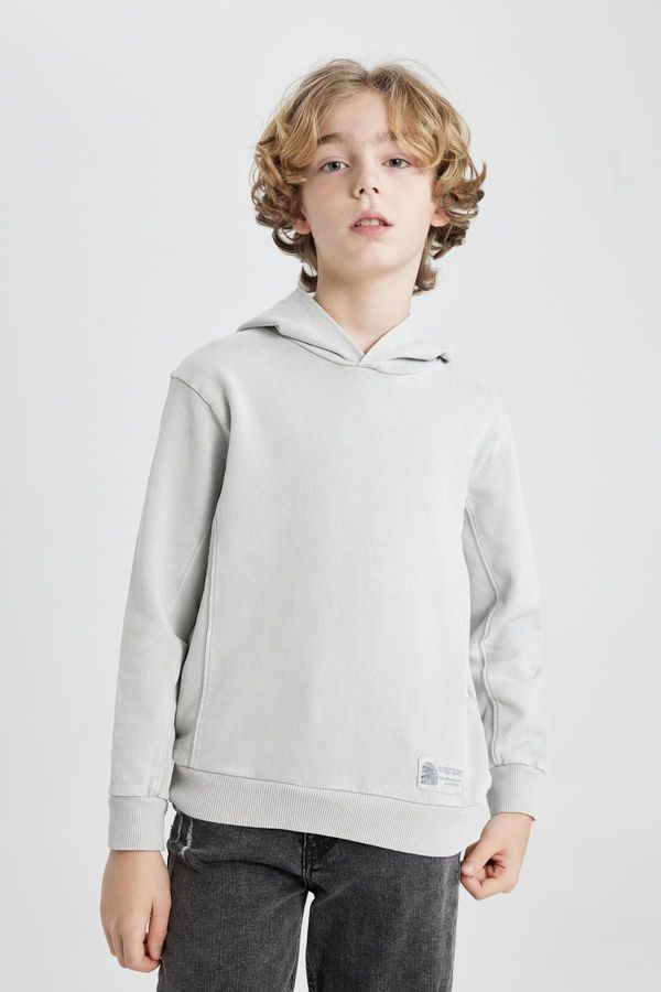 DEFACTO DEFACTO Boys' Hooded Sweatshirt