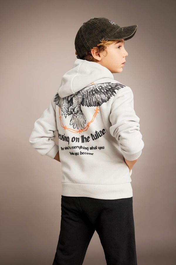 DEFACTO DEFACTO Boy's Printed Hooded Thick Sweatshirt