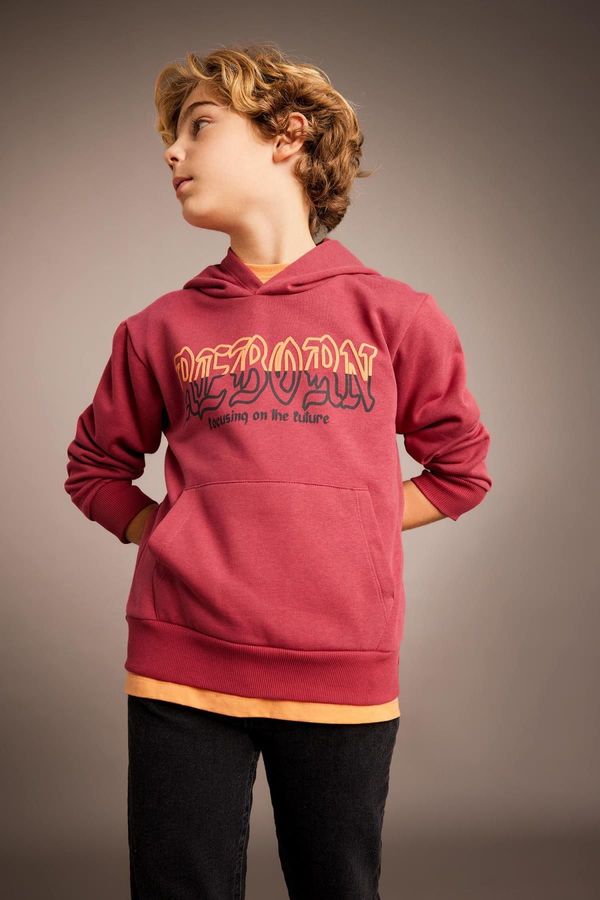 DEFACTO DEFACTO Boy's Printed Hooded Thick Sweatshirt