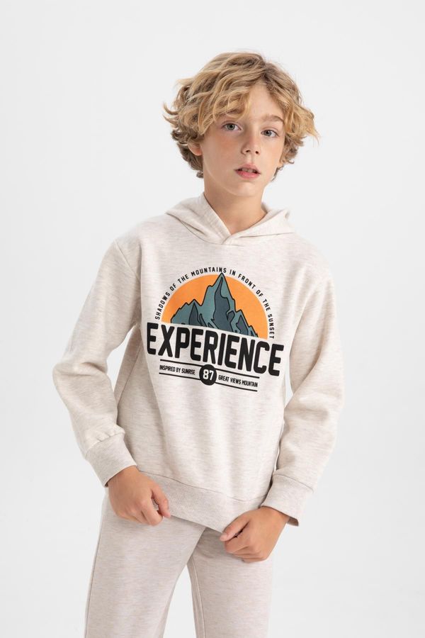 DEFACTO DEFACTO Boy's Thick Hooded Sweatshirt