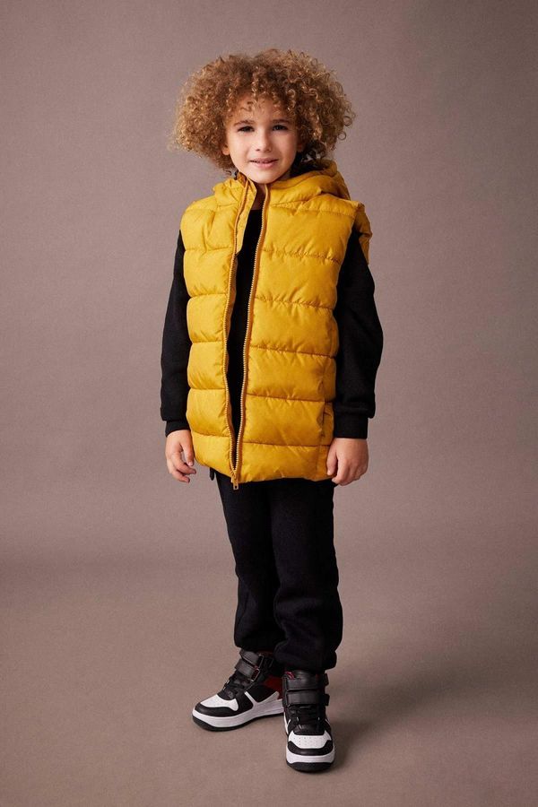 DEFACTO DEFACTO Boy's Water Repellent Hooded Basic Puffer Vest A1765a823au