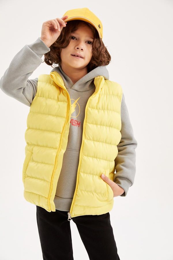 DEFACTO DEFACTO Boy's Water Repellent Stand-up Collar Puffer Vest