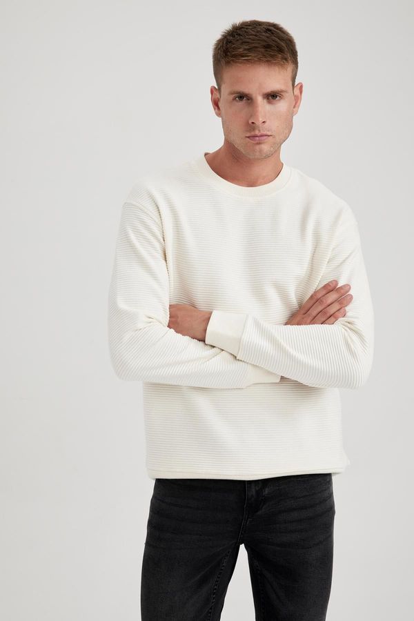 DEFACTO DEFACTO Comfort Regular Fit Basic Sweatshirt