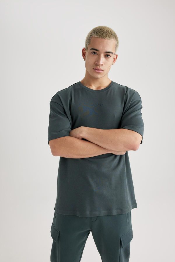 DEFACTO DEFACTO Comfort Regular Fit Relaxed Pattern Crew Neck Printed Short Sleeve Heavy Fabric T-Shirt