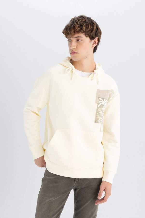 DEFACTO DEFACTO DFC - Boxy Fit Hooded Printed Sweatshirt