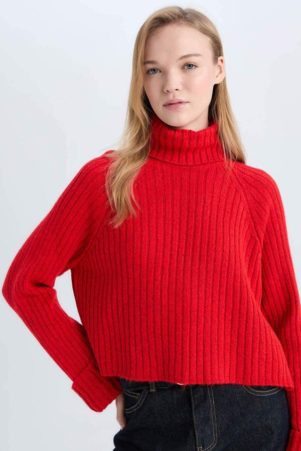 DEFACTO DEFACTO Dfc - Oversize Fit Wide Fit Turtleneck Knitwear Sweater