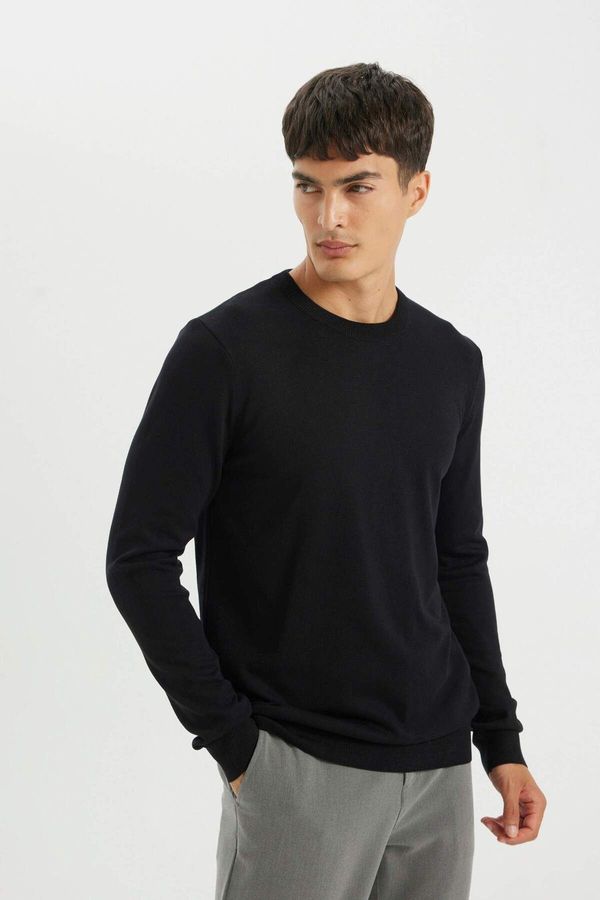 DEFACTO DEFACTO DFC - Regular Fit Crew Neck Sweater