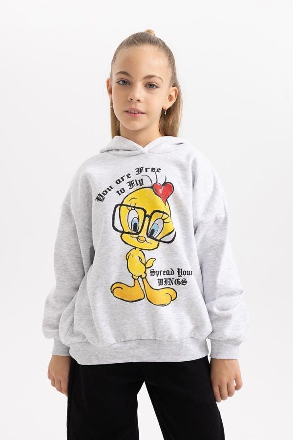 DEFACTO DEFACTO Girl Looney Tunes Oversize Wide Pattern Hooded Soft Fluffy Thick Sweatshirt