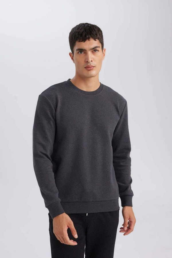 DEFACTO DEFACTO Men's Anthracite Regular Fit Crew Neck Jacquard Sweatshirt D5394Ax24Au