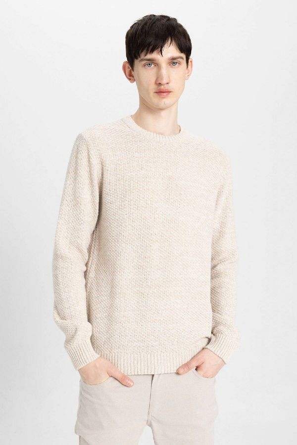 DEFACTO DEFACTO Men's Beige Standard Fit Regular Cut Crew Neck Textured Basic Knitwear Sweater