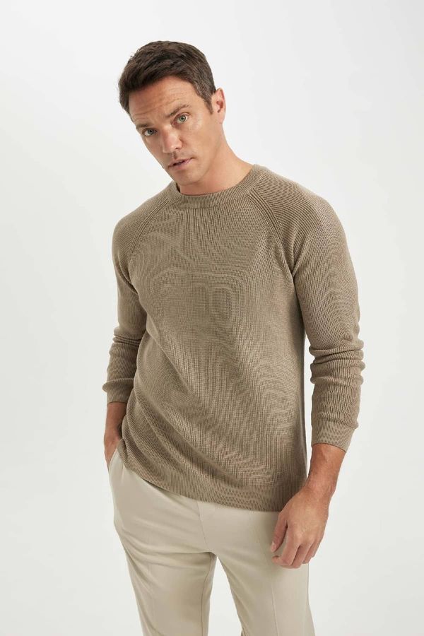 DEFACTO DEFACTO Men's Beige Standard Fit Regular Cut Crew Neck Warm Sweater