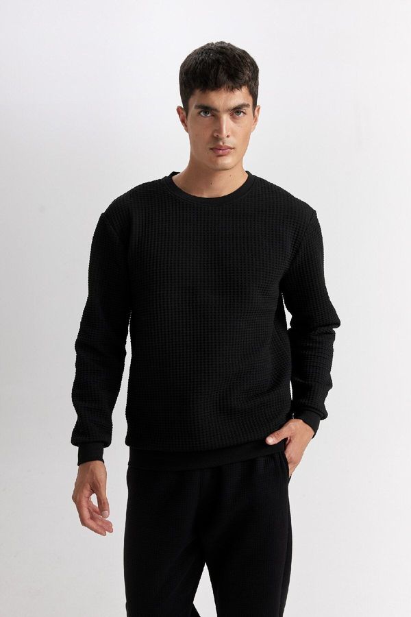 DEFACTO DEFACTO Men's Black Regular Fit Crew Neck Jacquard Sweatshirt