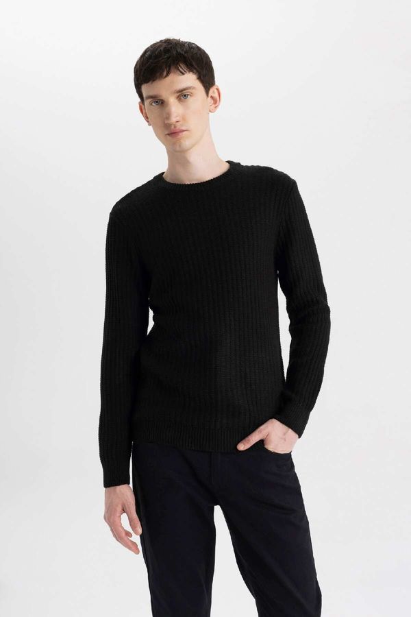 DEFACTO DEFACTO Men's Black Standard Fit Regular Cut Crew Neck Jacquard Aviator Sweater