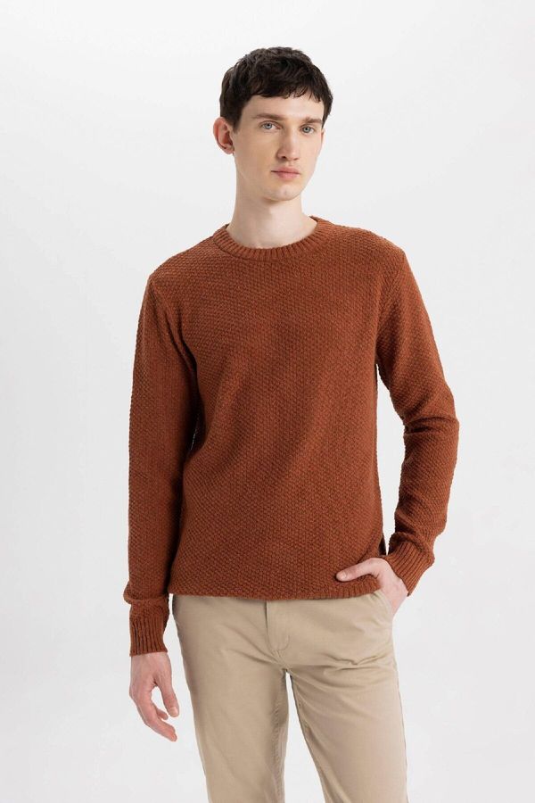 DEFACTO DEFACTO Men's Dark Orange Standard Fit Regular Cut Crew Neck Textured Basic Knitwear Sweater