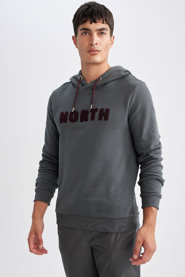 DEFACTO DEFACTO Men's Gray Regular Fit Hooded Printed Thick Fabric Sweatshirt