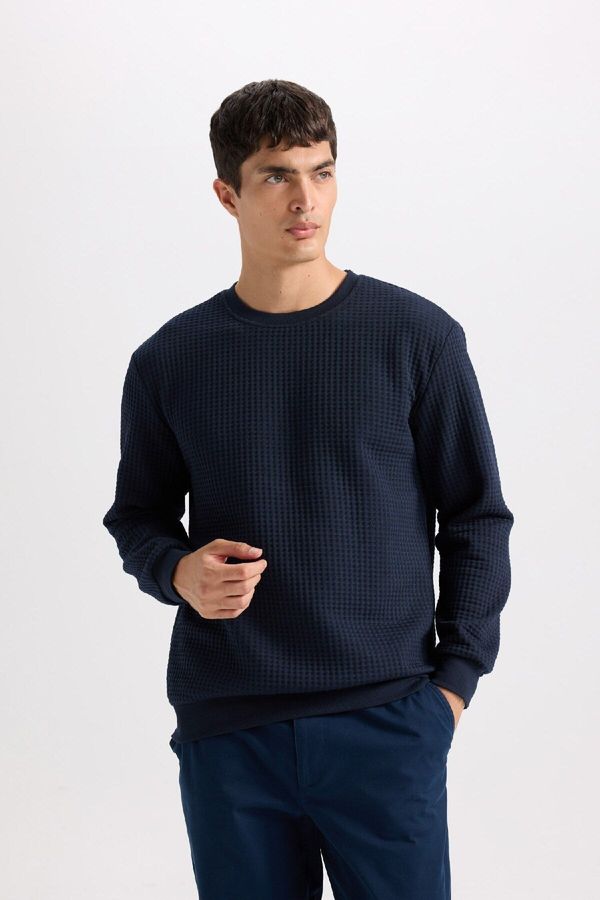 DEFACTO DEFACTO Men's Navy Blue Regular Fit Crew Neck Jacquard Sweatshirt