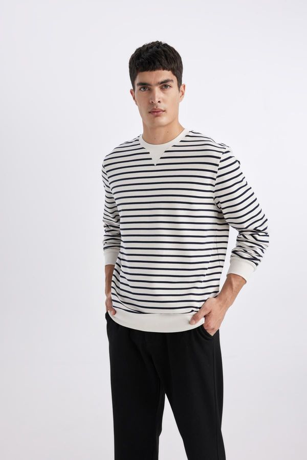 DEFACTO DEFACTO Modern Fit Crew Neck Striped Sweatshirt