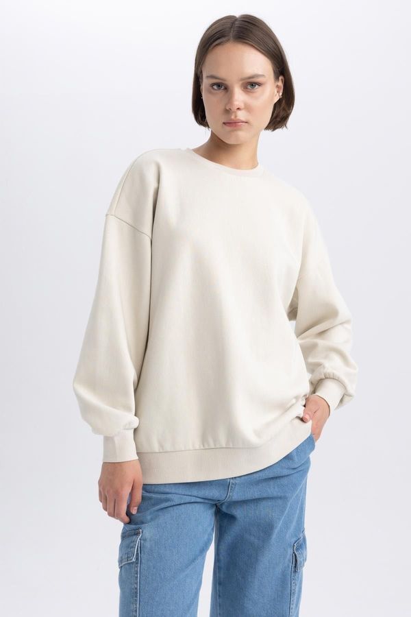 DEFACTO DEFACTO Oversize Fit Crew Neck Thick Basic Sweatshirt