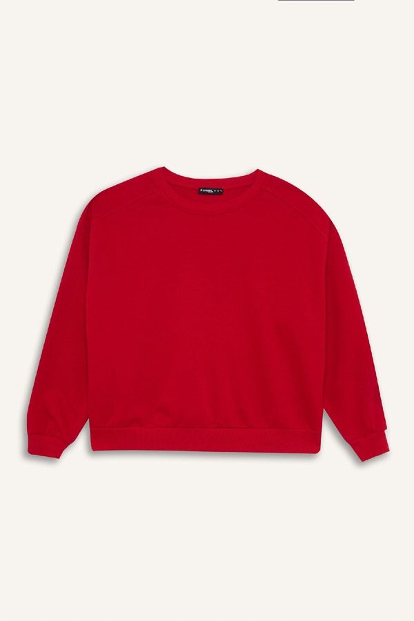 DEFACTO DEFACTO Oversize Wide Pattern Crew Neck Thick Fabric Basic Red Sweatshirt