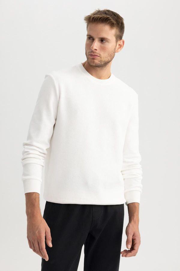 DEFACTO DEFACTO Regular Fit Crew Neck 100% Cotton Basic Plain Sweatshirt