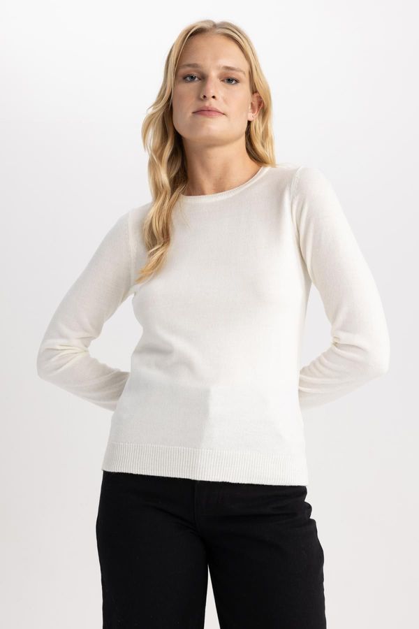 DEFACTO DEFACTO Regular Fit Crew Neck Basic Knitwear Sweater