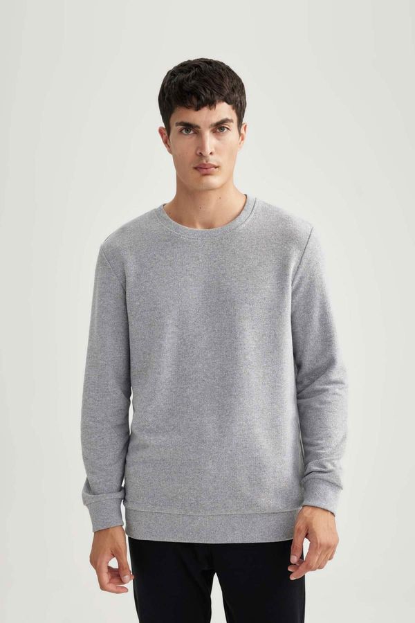 DEFACTO DEFACTO Regular Fit Crew Neck Basic Sweatshirt