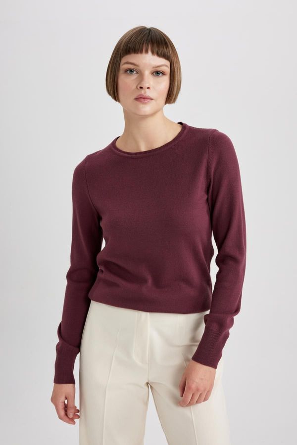 DEFACTO DEFACTO Regular Fit Crew Neck Extra Soft Cashmere Textured Sweater