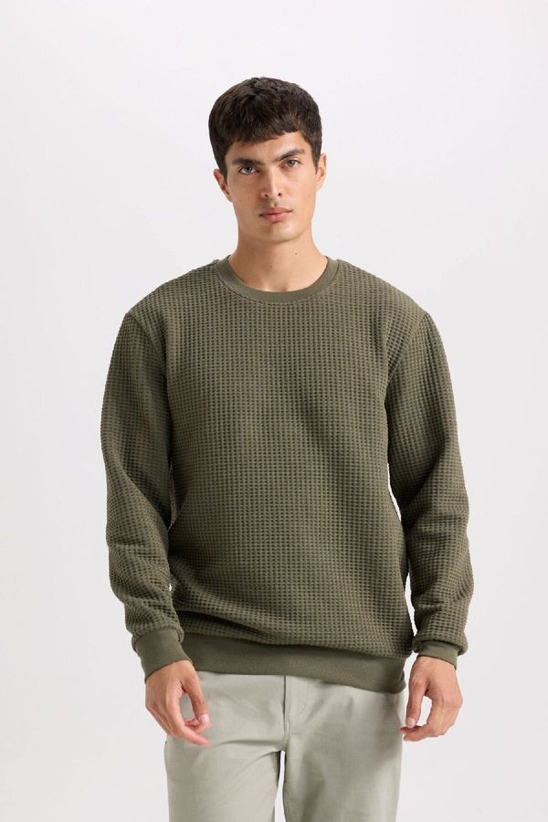 DEFACTO DEFACTO Regular Fit Crew Neck Jacquard Sweatshirt