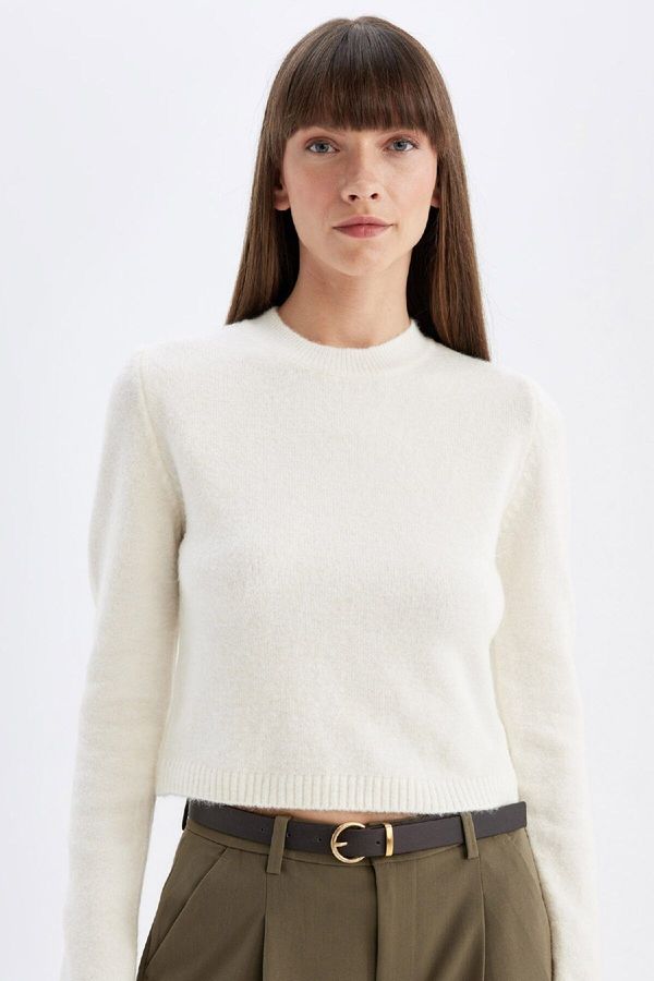 DEFACTO DEFACTO Regular Fit Crew Neck Premium Basic Plain Crop Knitwear Sweater