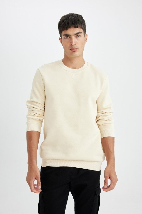 DEFACTO DEFACTO Regular Fit Crew Neck Thick Sweatshirt