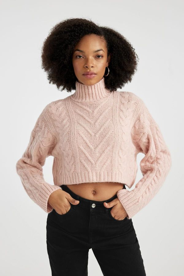 DEFACTO DEFACTO Regular Fit Half Turtleneck Knitwear Sweater