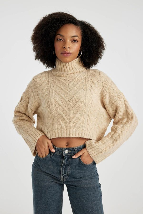 DEFACTO DEFACTO Regular Fit Half Turtleneck Sweater