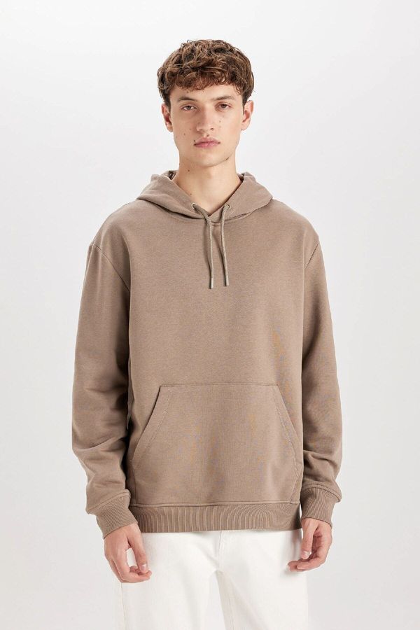 DEFACTO DEFACTO Regular Fit Hooded Basic Sweatshirt