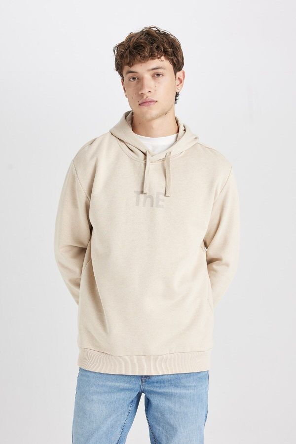 DEFACTO DEFACTO Regular Fit Hooded Printed Sweatshirt