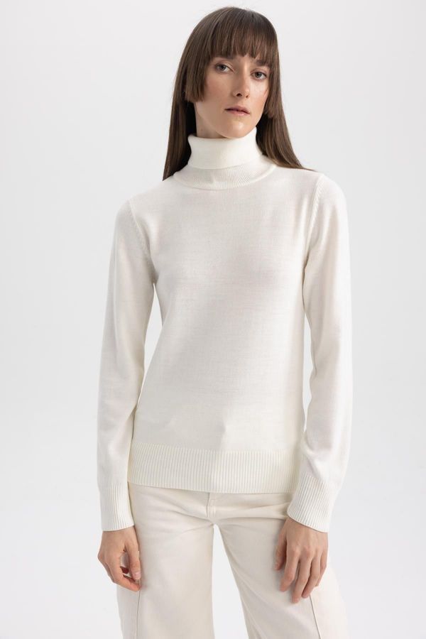 DEFACTO DEFACTO Regular Fit Turtleneck Basic Knitwear Sweater