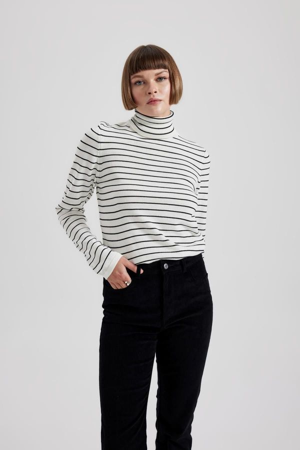 DEFACTO DEFACTO Regular Fit Turtleneck Basic Knitwear Sweater