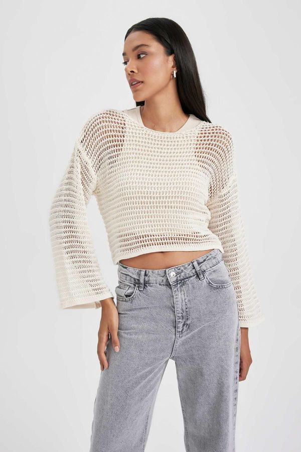 DEFACTO DEFACTO Relax Fit Crew Neck Knitted Sweater